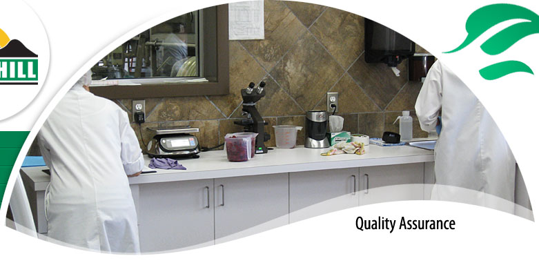 Quality Assurance