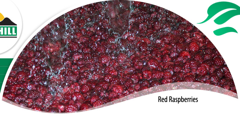 Red Raspberries