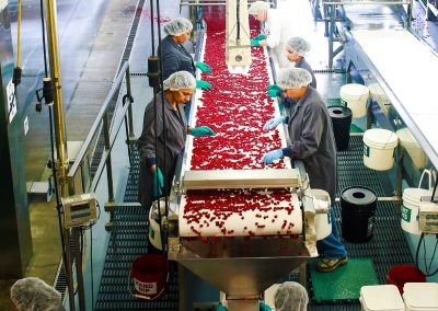 Quality Control Line - Berryhill Foods Inc.
